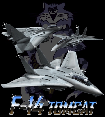 F-14 Tomcat illustration
